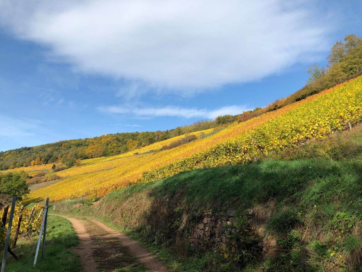 Le Gite Du Sommerberg Niedermorschwihr Esterno foto