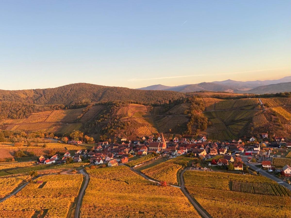 Le Gite Du Sommerberg Niedermorschwihr Esterno foto