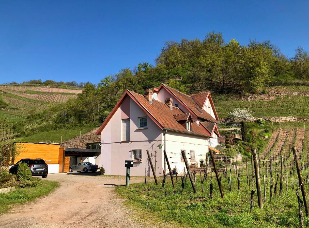 Le Gite Du Sommerberg Niedermorschwihr Esterno foto
